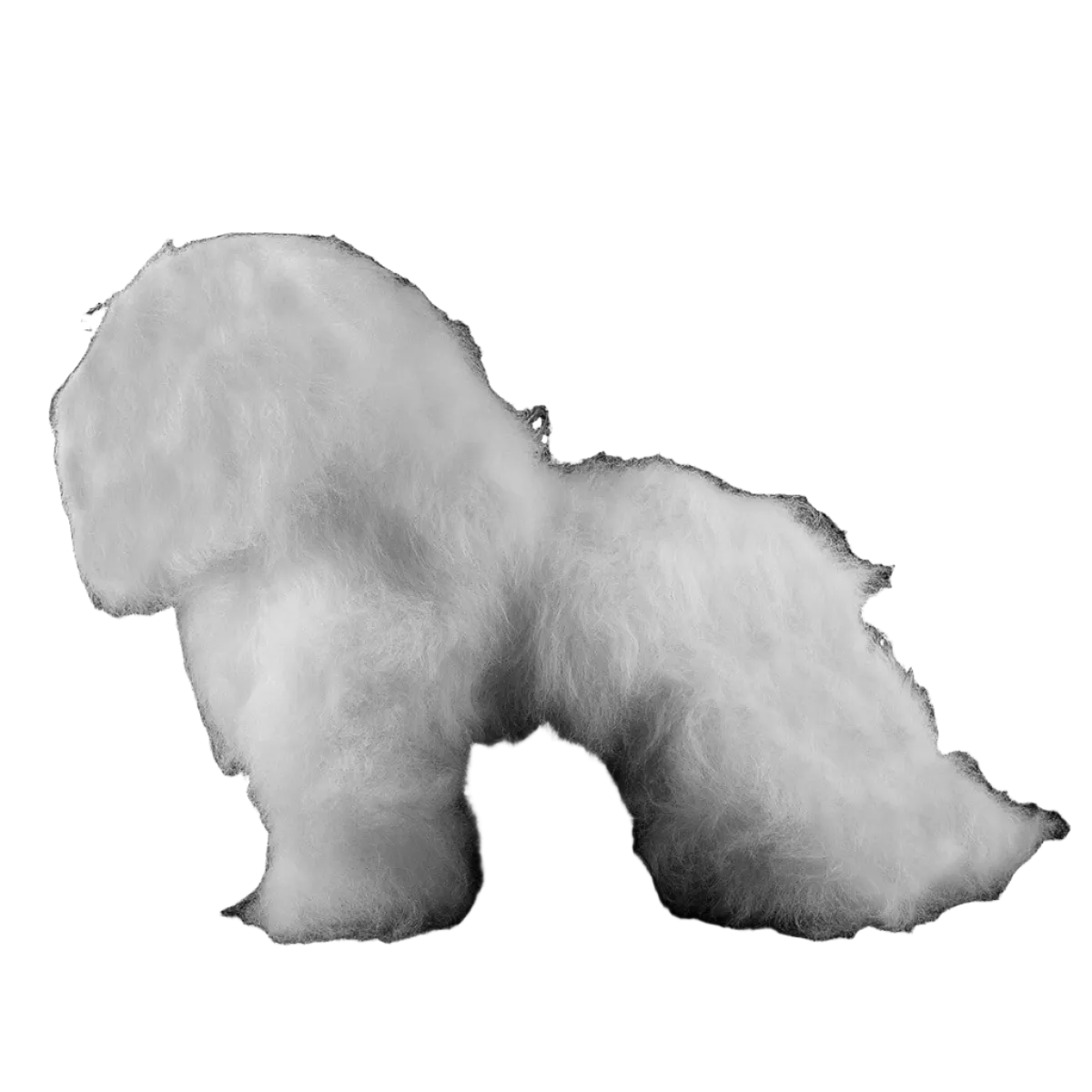 Bichon Mannequin by Aeolus