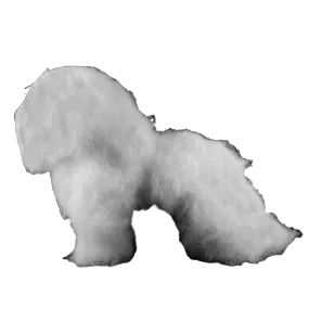 Bichon Mannequin by Aeolus