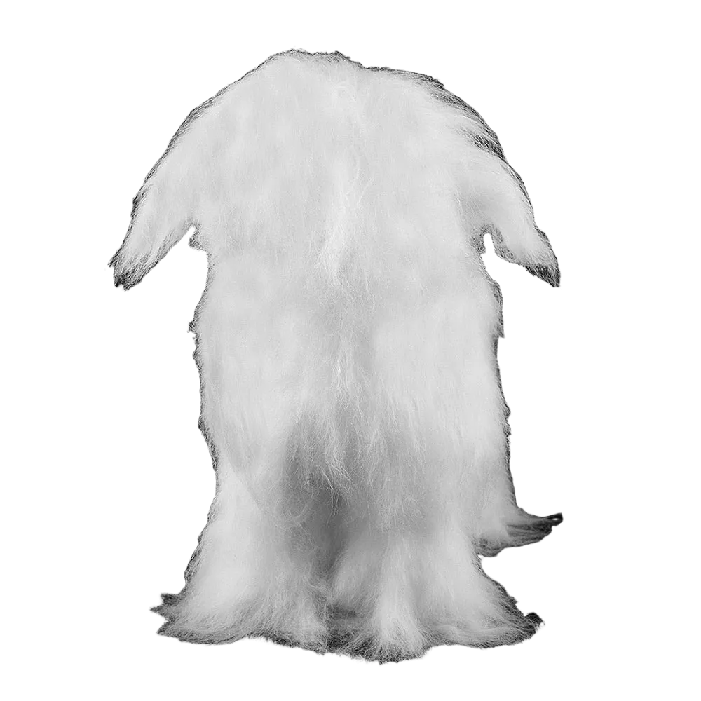 Bichon Mannequin by Aeolus