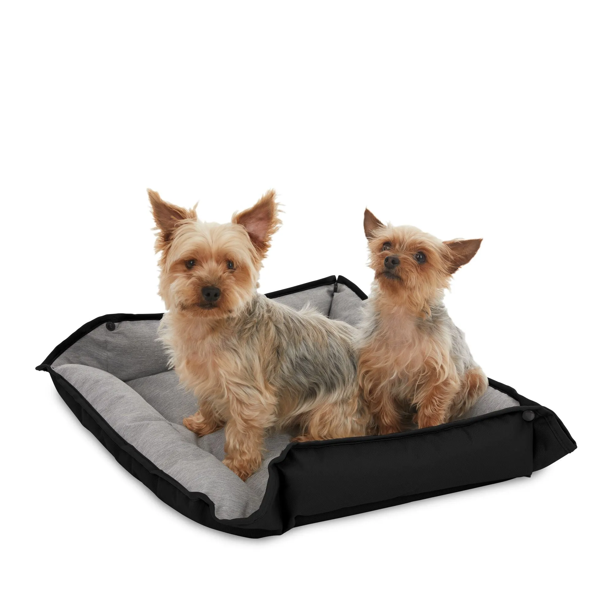 Black Pet Premium Bed For Medium Dogs, 24 X 20 X 3-Inch