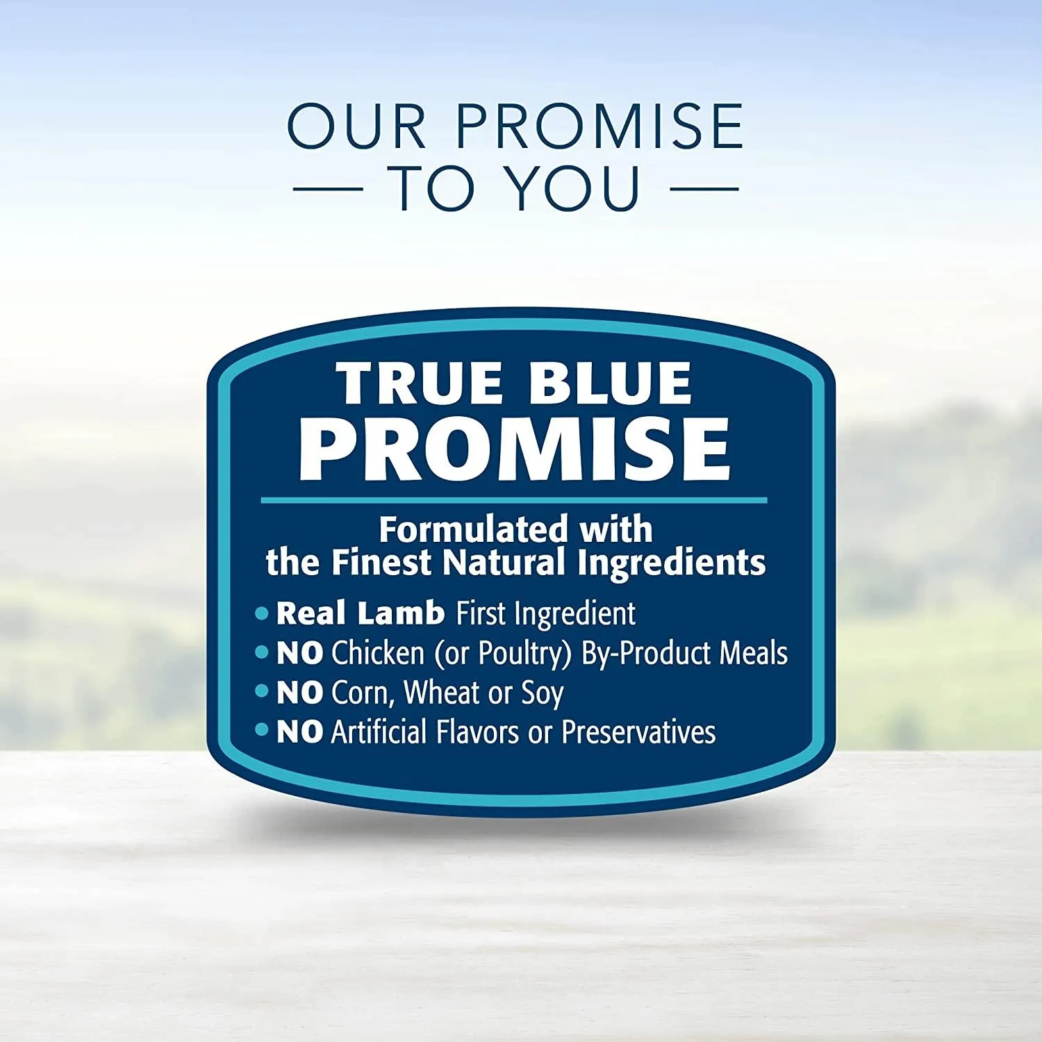 Blue Buffalo Life Protection Dog Food Lamb & Rice