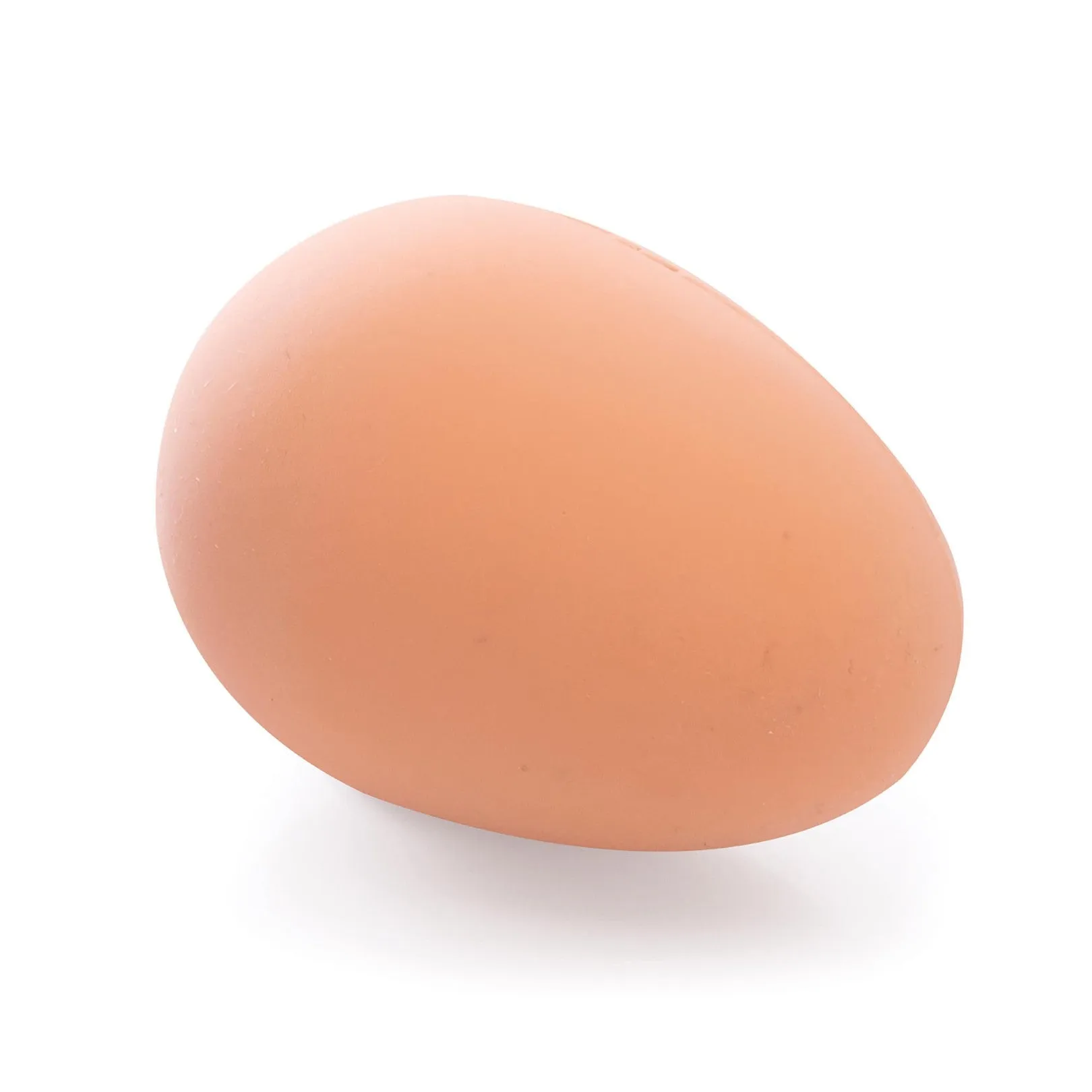 Bouncing Egg