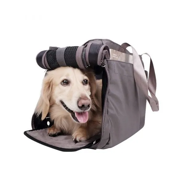 Canvas Pet Tote (2 Colours)