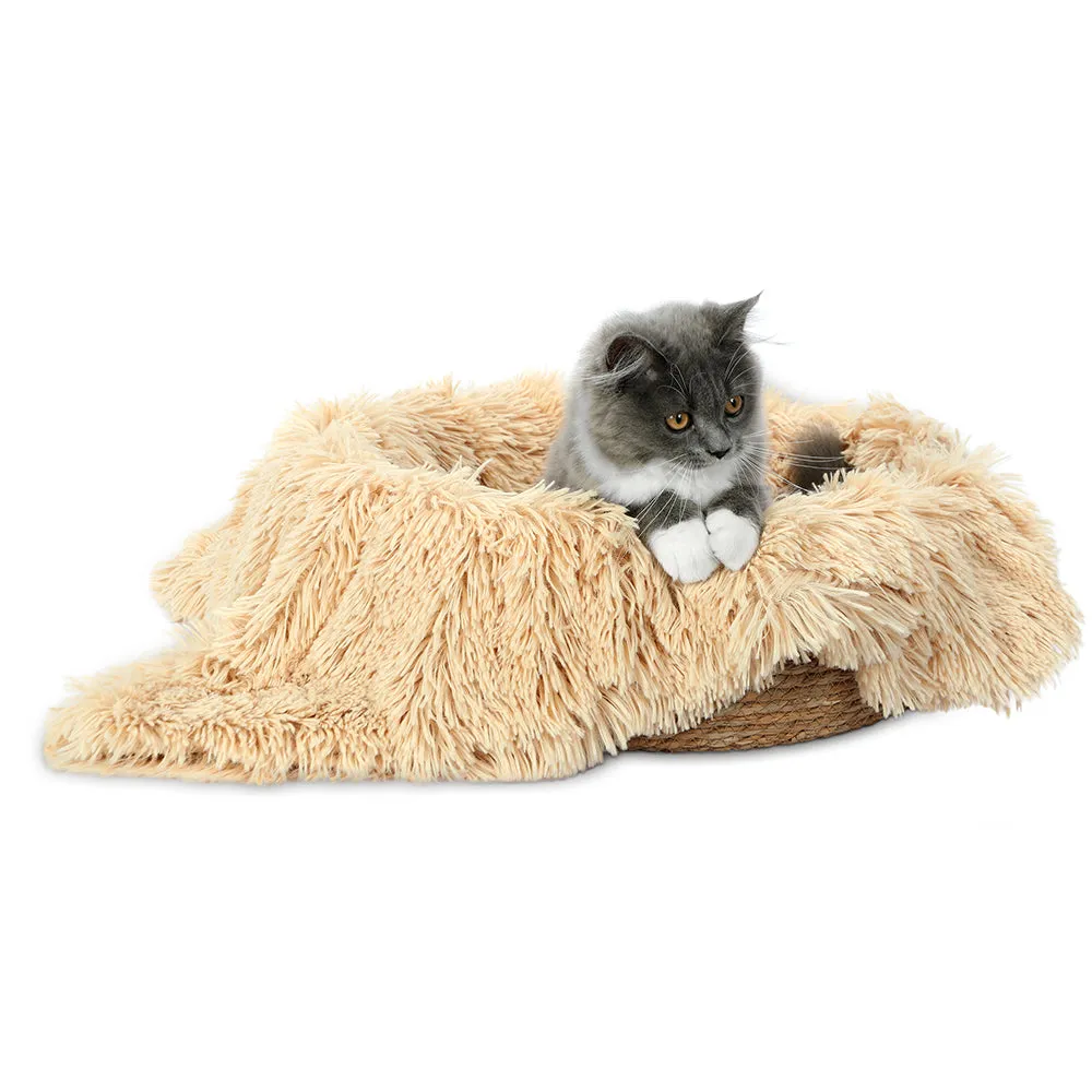 Cattail Woven Round Cat Bed