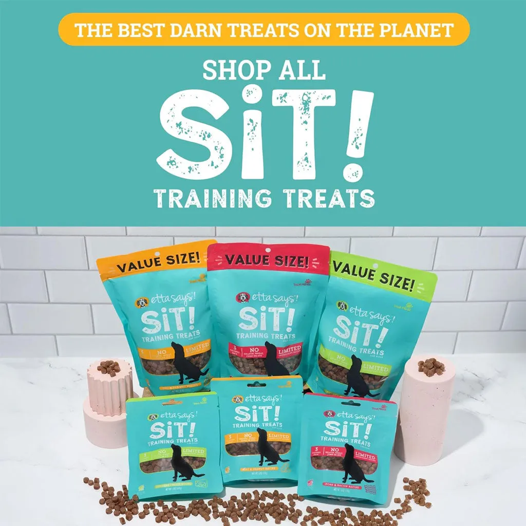 Etta Says! Sit! Training Treats for Dogs Oat & Peanut Flavor, 16-oz