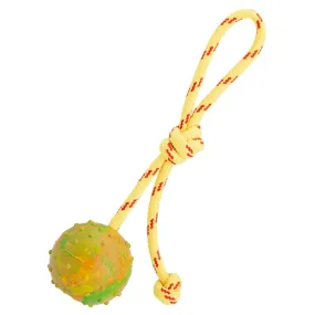 FDT Rubber Dog Ball on Rope, Medium - Diameter 2.3" (6 cm)