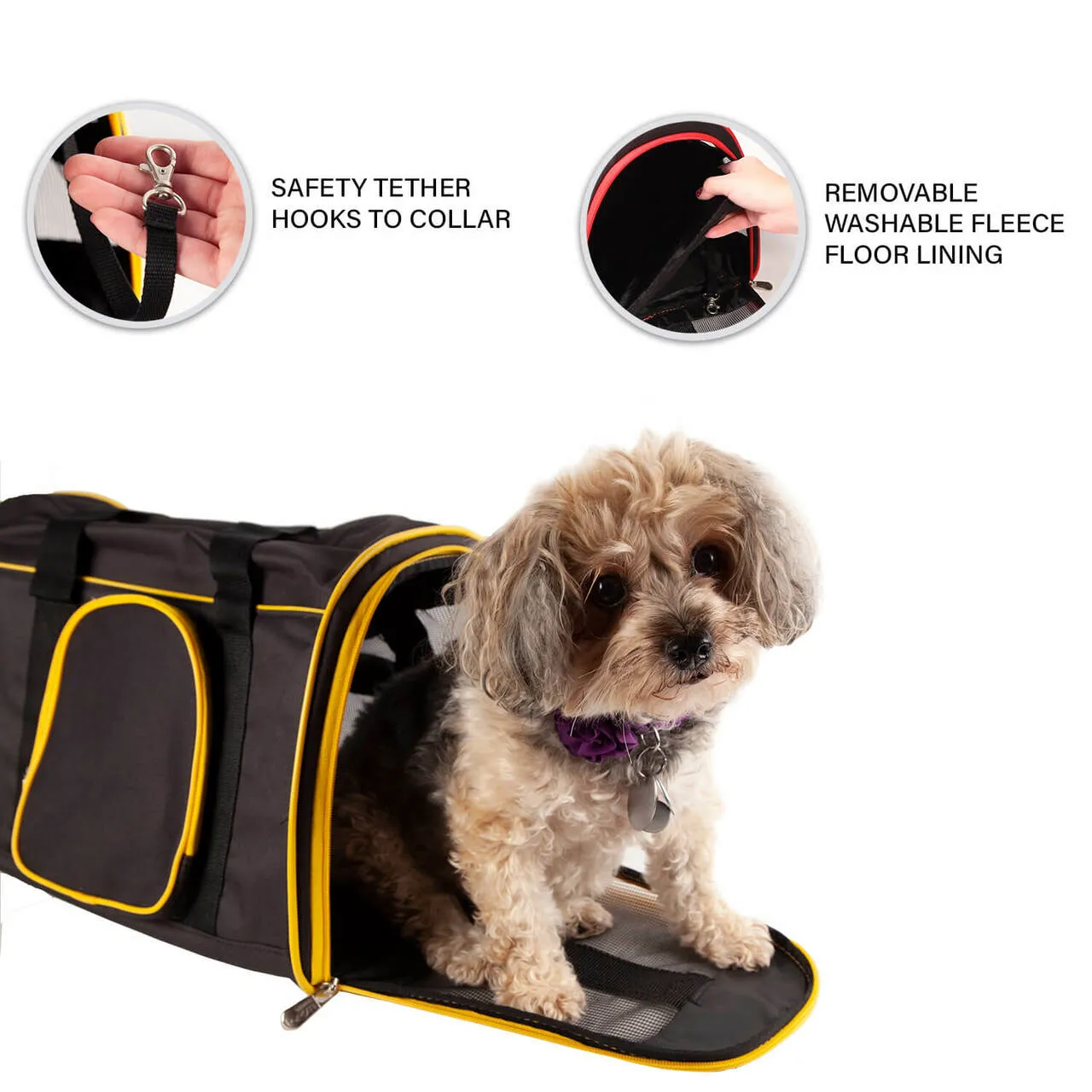 Florida State 16" Premium Pet Carrier