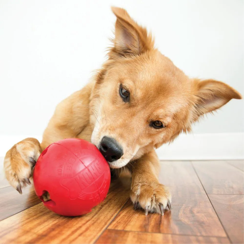 KONG Biscuit Ball Dog Toy