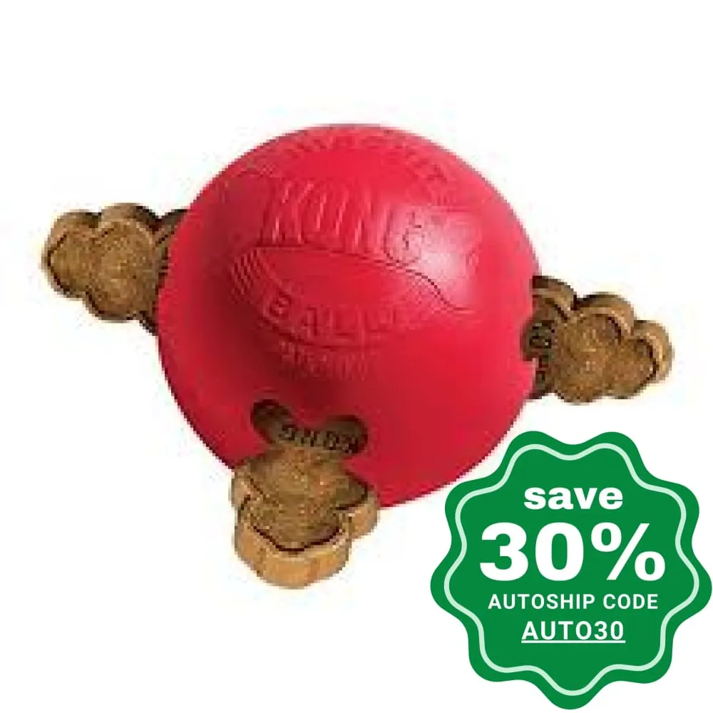 Kong - Biscuit Ball - Small