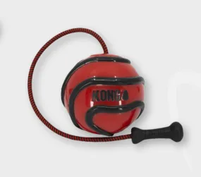 KONG Wavz Bunji Ball Dog Toy