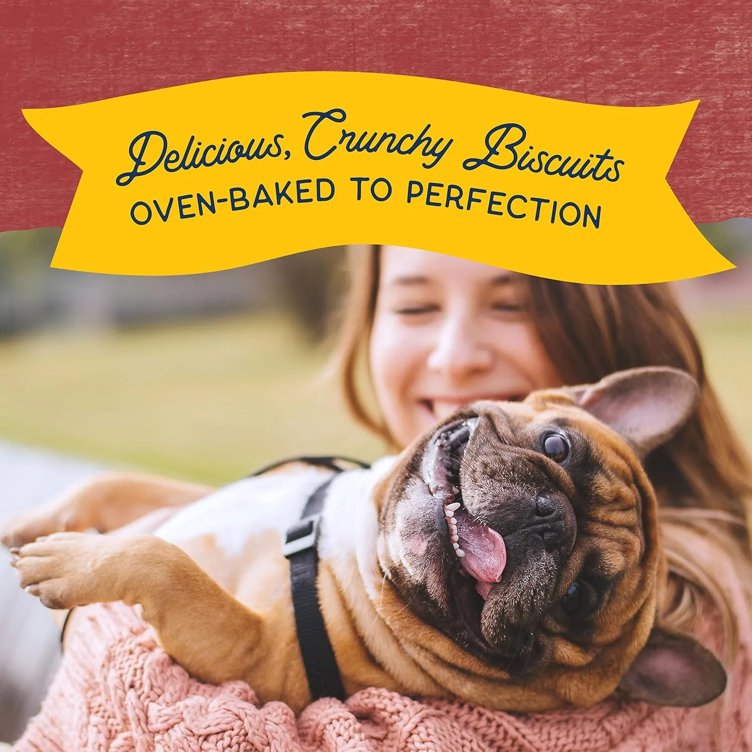 Natural Balance Rewards Crunchy Biscuits with Real Bison Dog Treats, 14-oz