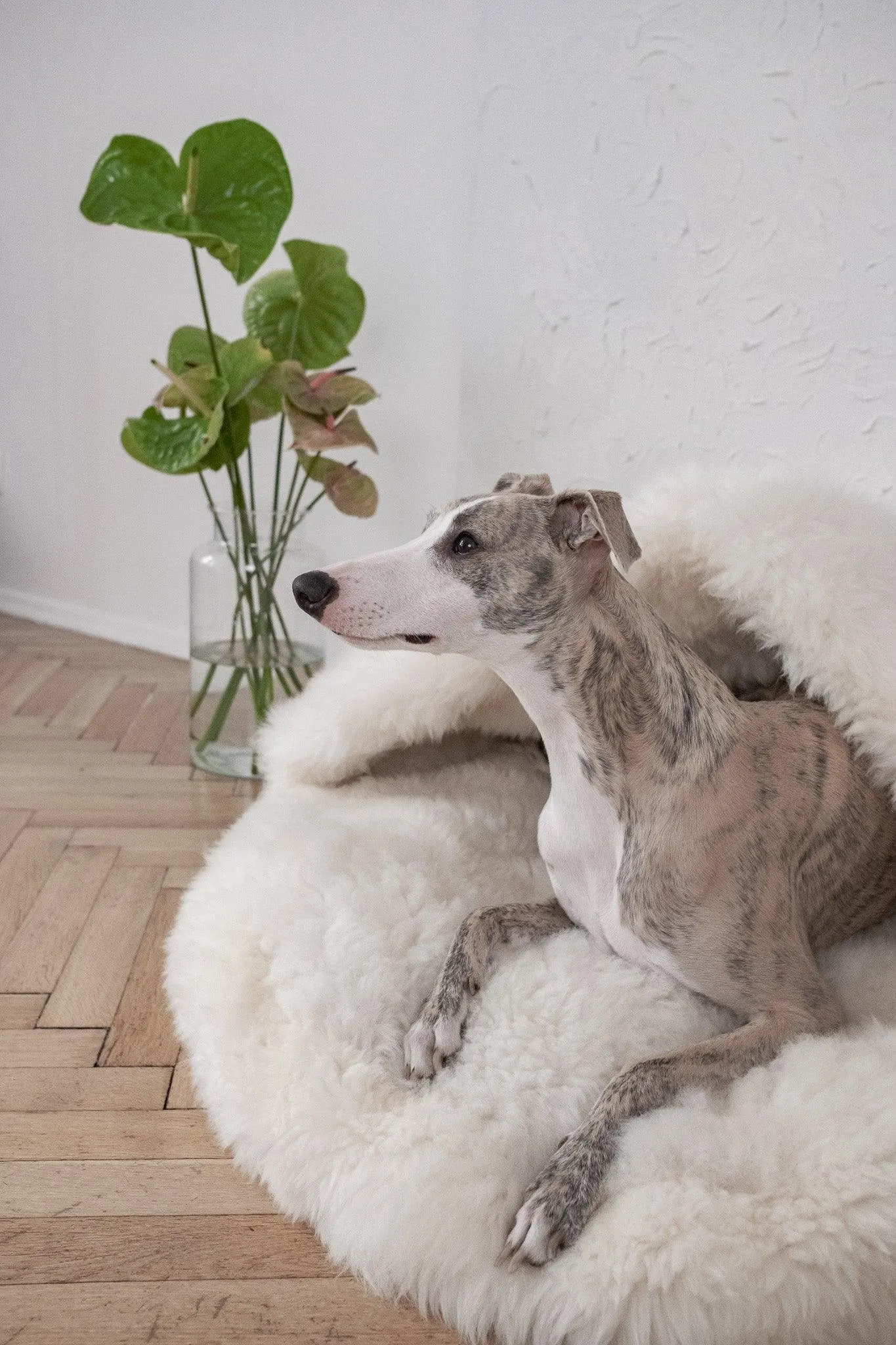 Natural Sheepskin Pet Cave - White