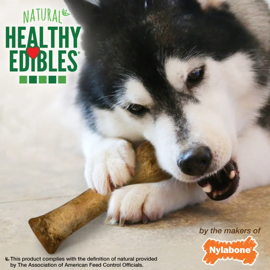 Nylabone Healthy Edibles WILD Natural Long-Lasting Bison Flavor Bone Chew Treats for Dogs