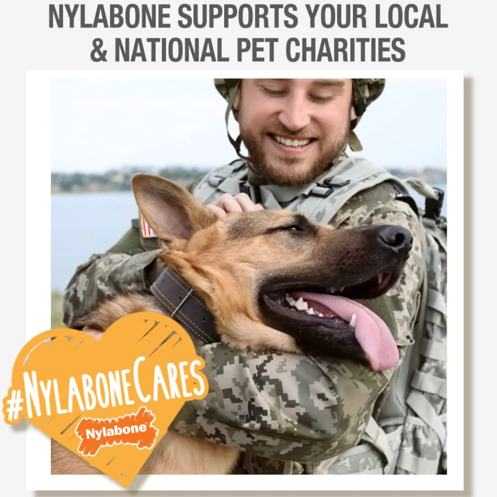 Nylabone Healthy Edibles WILD Natural Long-Lasting Bison Flavor Bone Chew Treats for Dogs