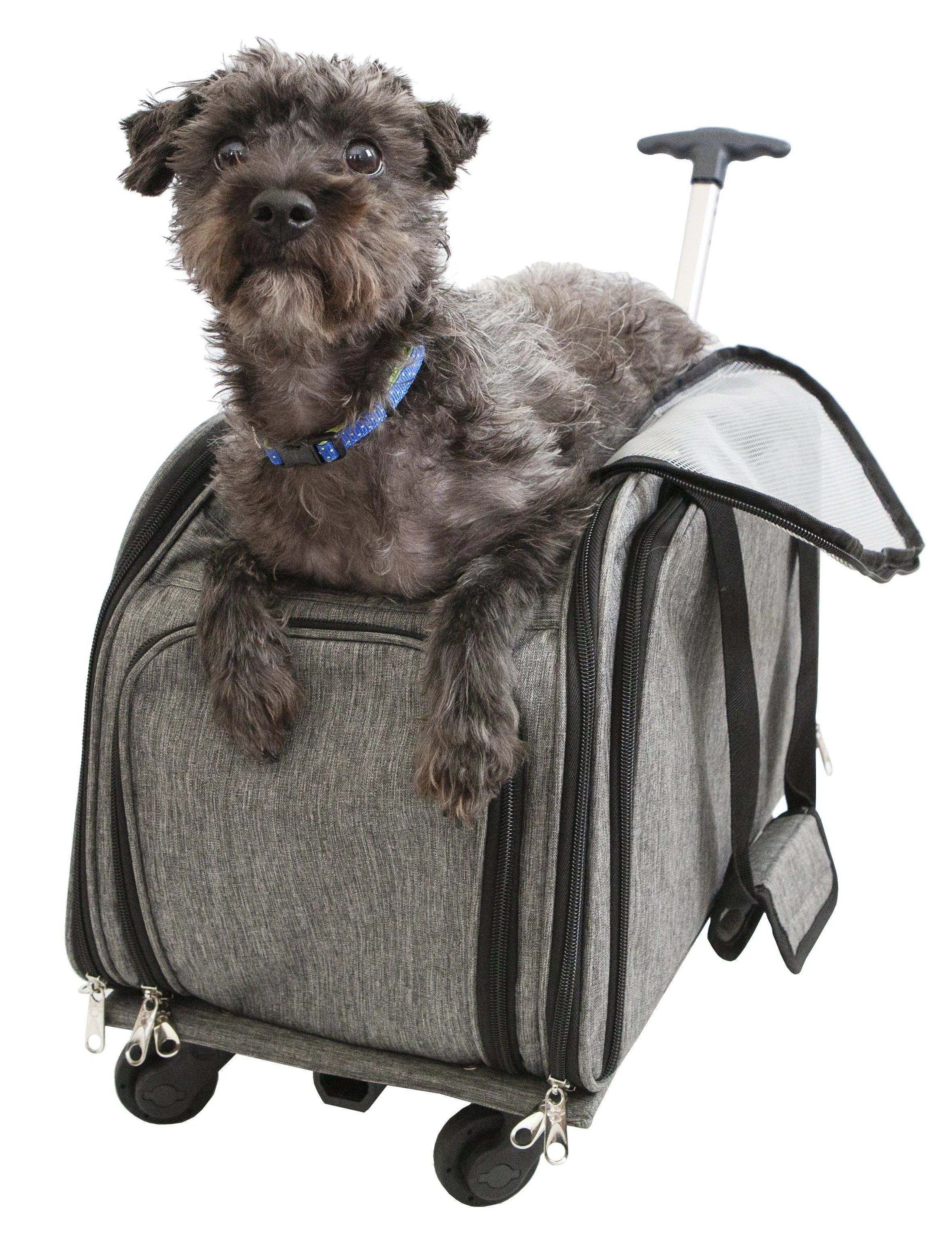 Petique Happy Camper Pet Carrier