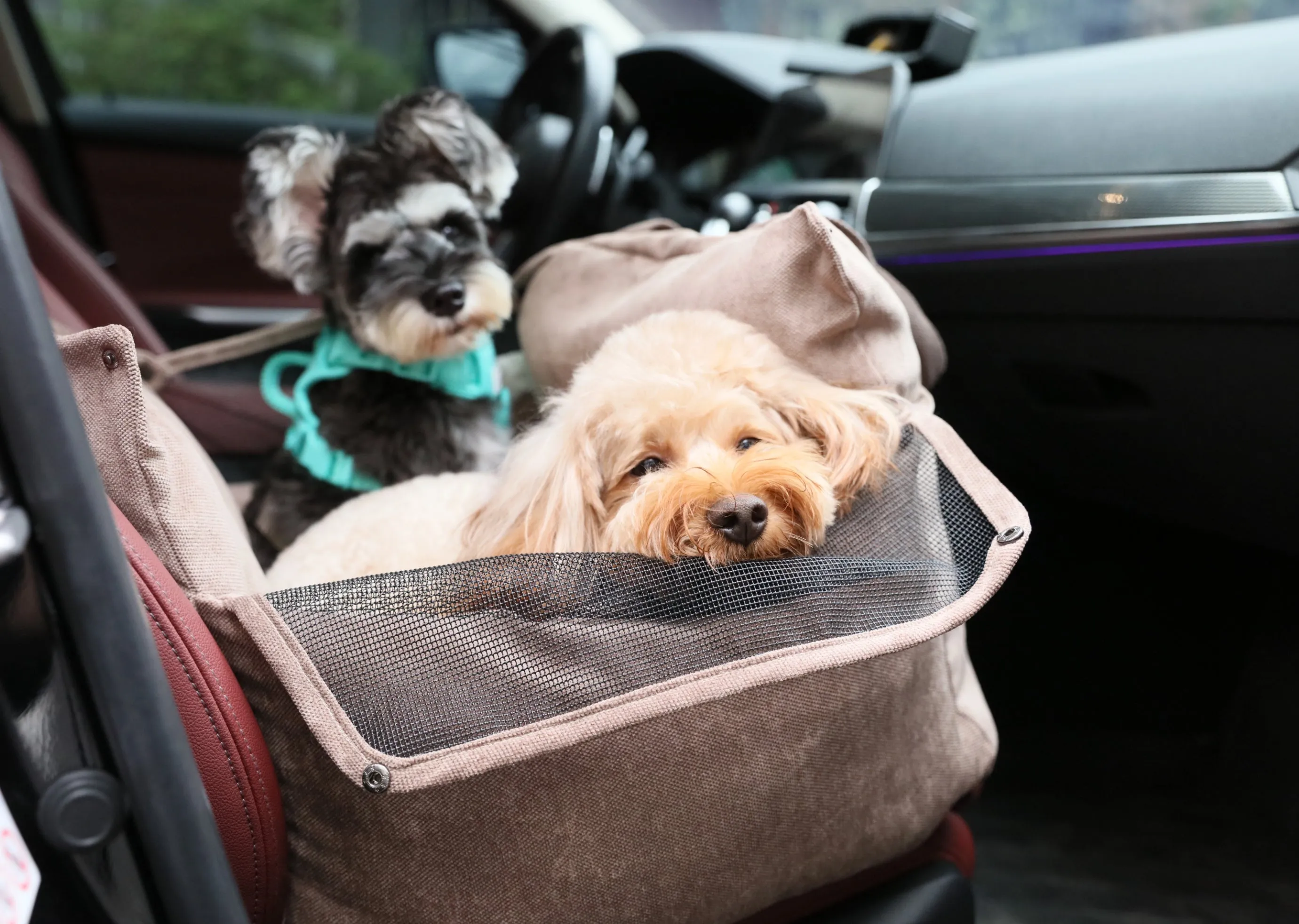 Puff Guard Dog Car Seat - Pink