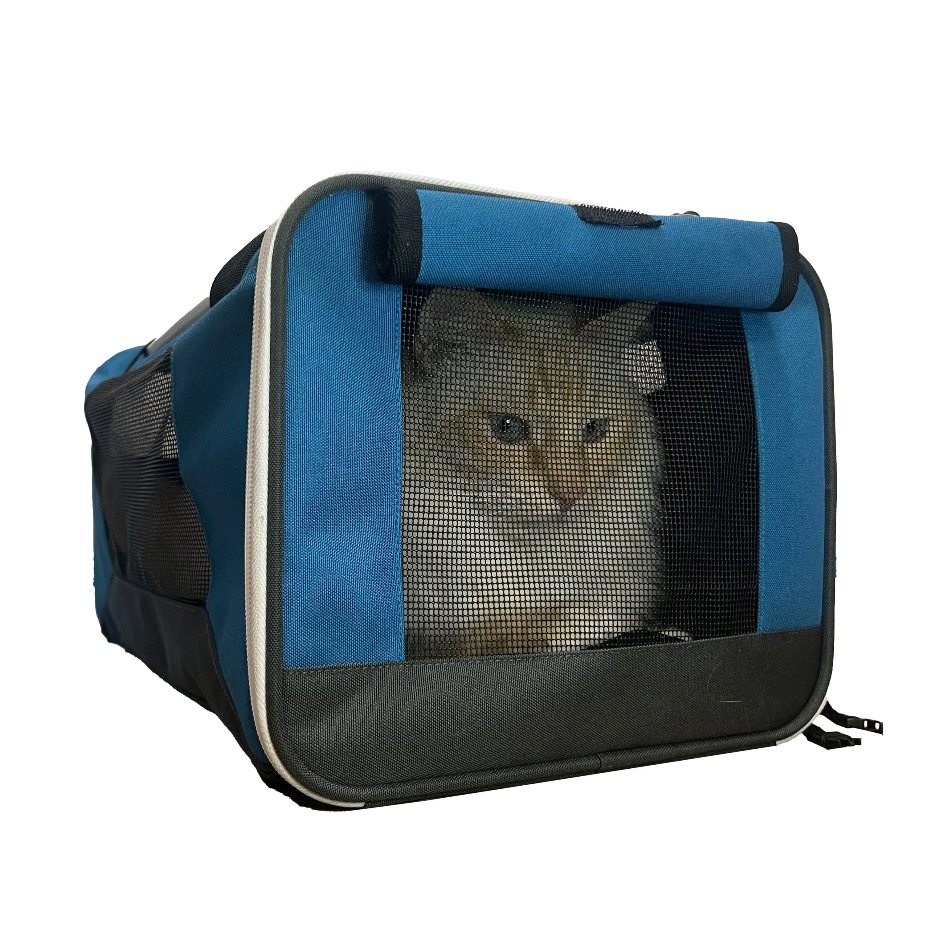 "The Odyssey" Soft Cat Carrier for Every Day and Air Travel