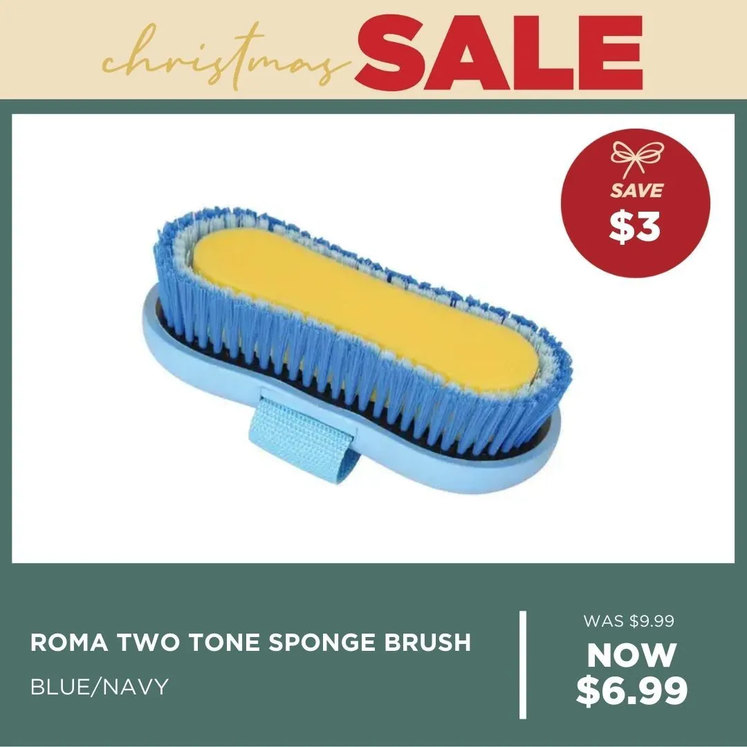 Roma Soft Grip Sponge Brush