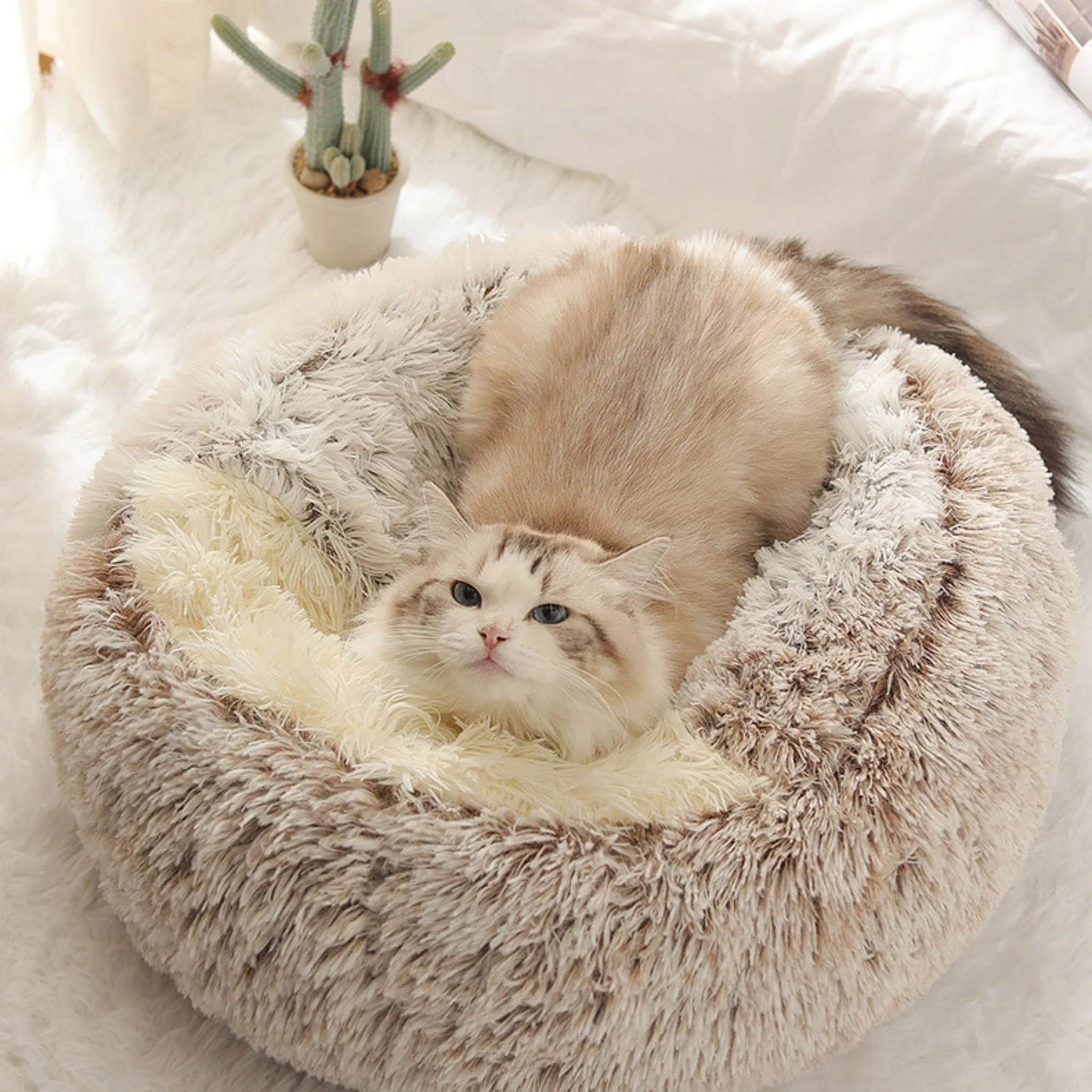 Soft Plush Pet Cave Bed for Large Cats & Medium Dogs